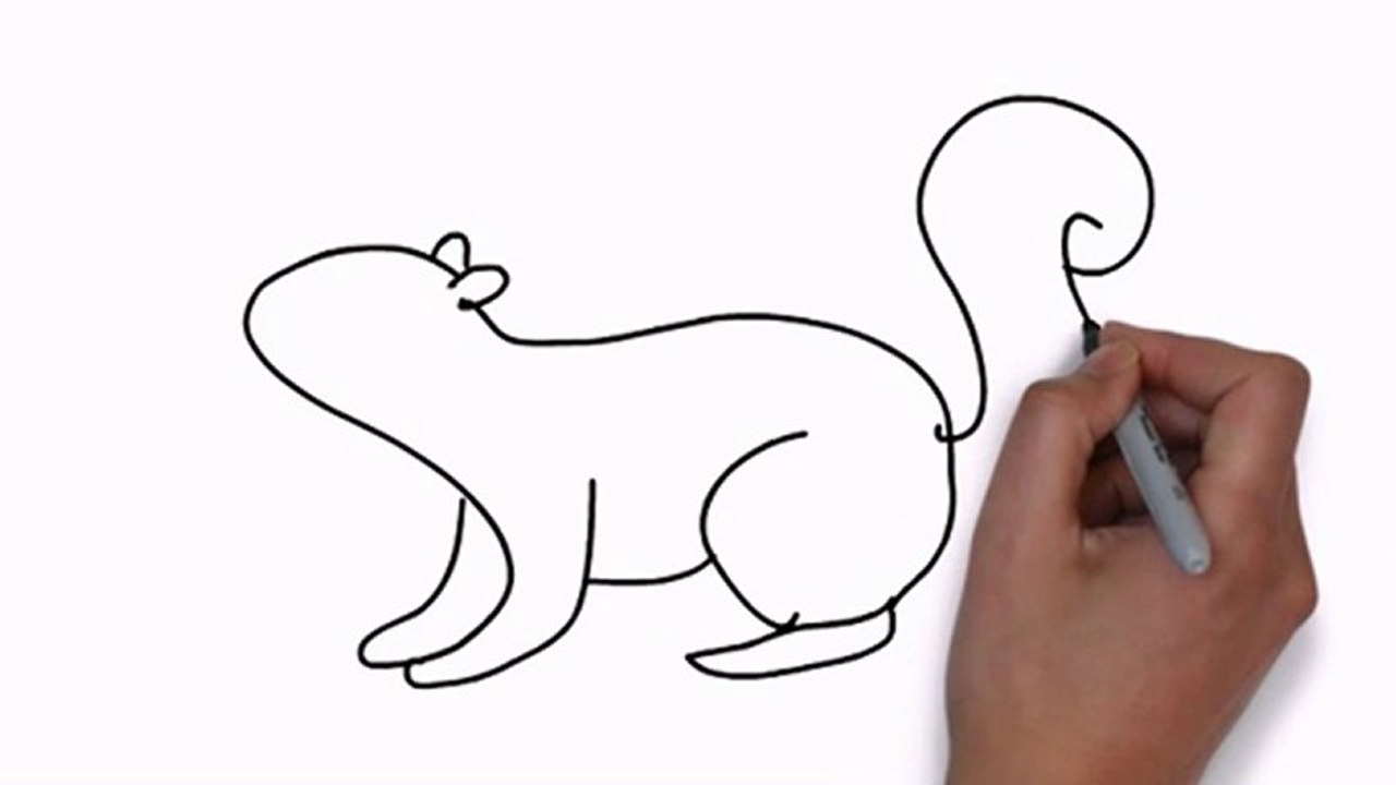 1280x720 Squirrel Drawing Easy Easy Ways To Draw A Squirrel