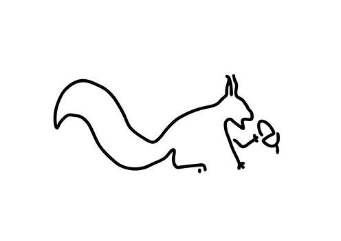 496x350 Squirrel Drawing