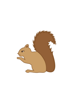 240x339 Tree Squirrel Chipmunk Computer Icons Drawing Cc0