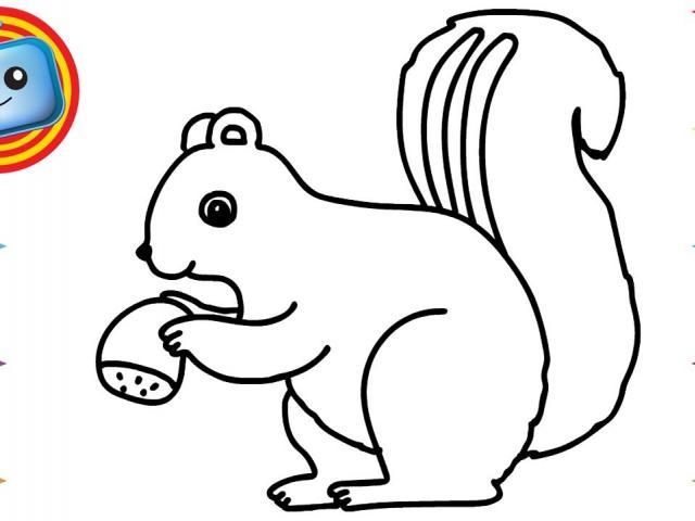 640x480 Free Drawn Squirrel, Download Free Clip Art