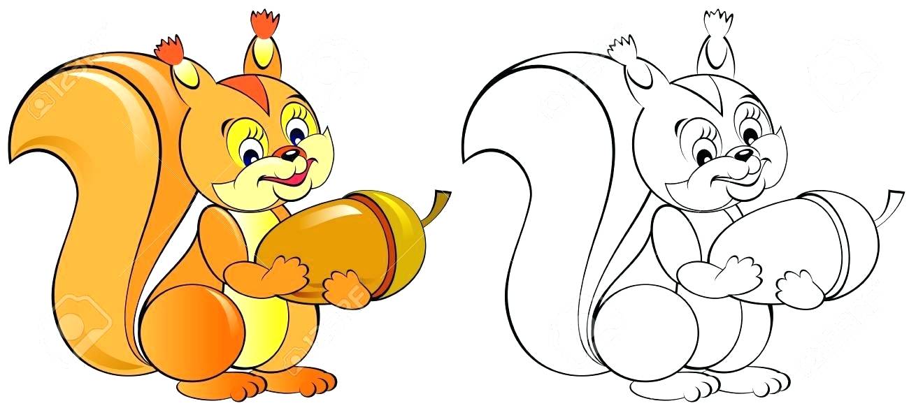 1300x594 drawing squirrel squirrel drawing tags drawing squirrel easy