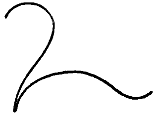 315x233 How To Draw Cartoon Squirrels With Simple Step