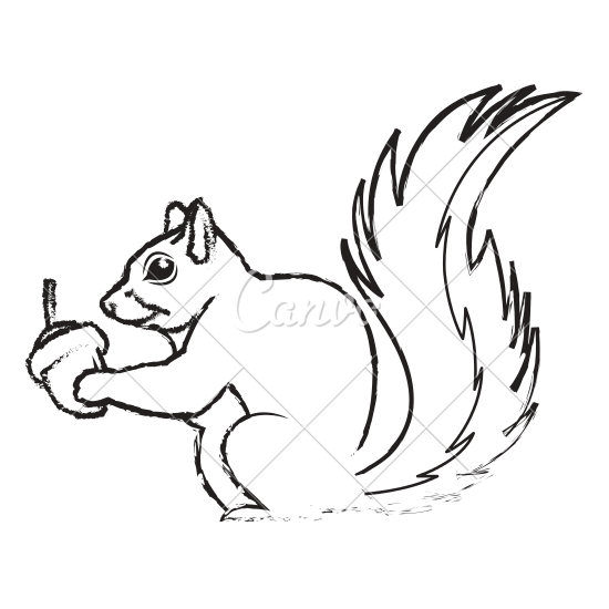 550x550 Collection Of Free Squirrel Drawing Download On Ui Ex