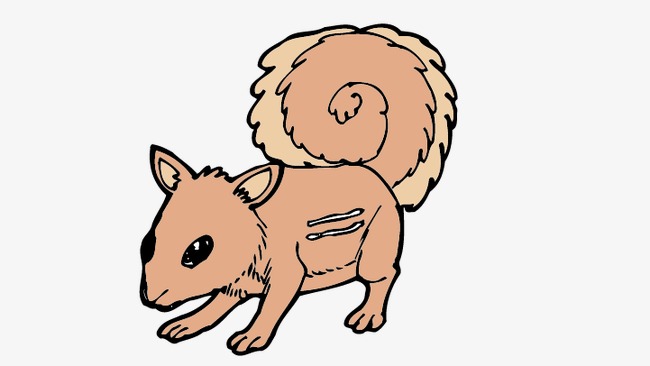 650x366 Squirrel, Cartoon Squirrel, Vector Squirrel Png And Vector