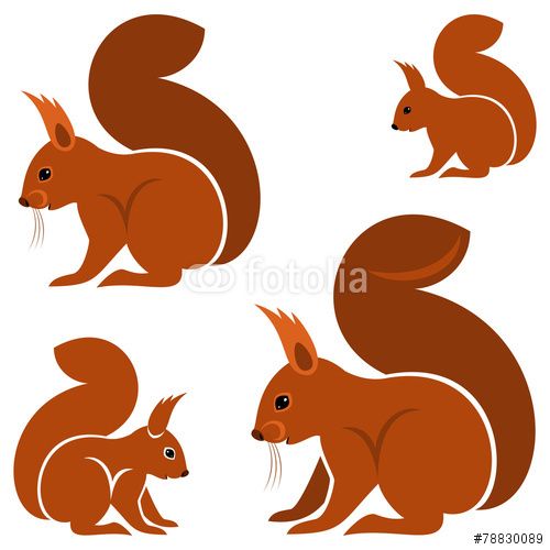 500x500 Vector Squirrel Squirrels Illustration, Squirrel