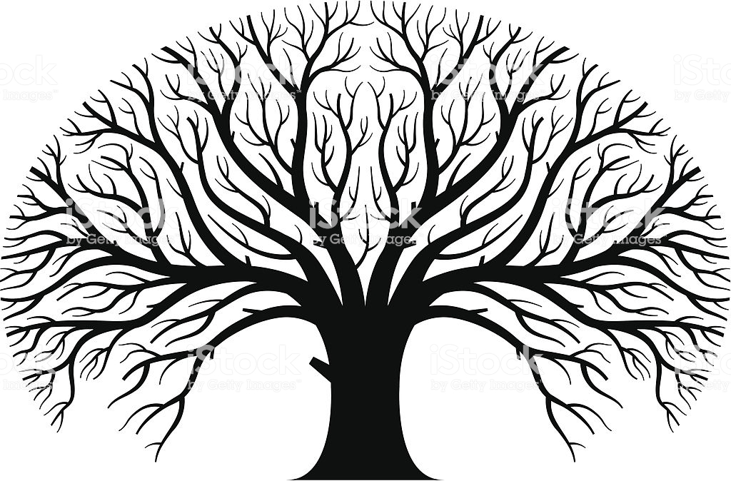 1024x674 Collection Of 'large Tree Drawing' Download More Than Images