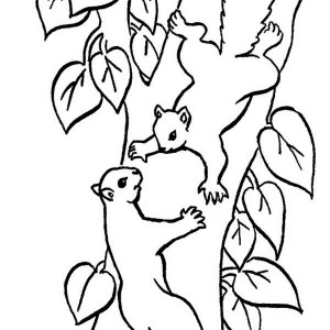 300x300 Drawn Squirrel Tree Drawing