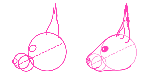 600x324 How To Draw Animals Small Rodents And Their Anatomy