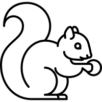 Squirrel Line Drawing | Free download on ClipArtMag