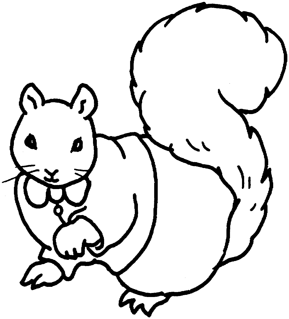 1224x1348 Squirrel