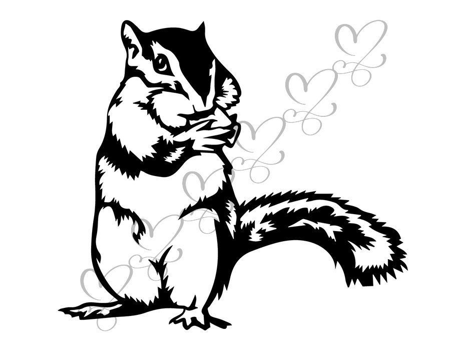 931x700 Squirrel Animal Cute Wildlife Nature Mammal Isolated Funny Etsy
