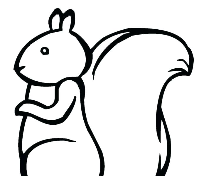 678x600 squirrel coloring pages squirrel coloring pages fresh squirrel