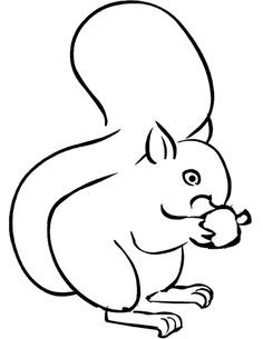 236x305 Awesome Squirrel And Acorn Coloring