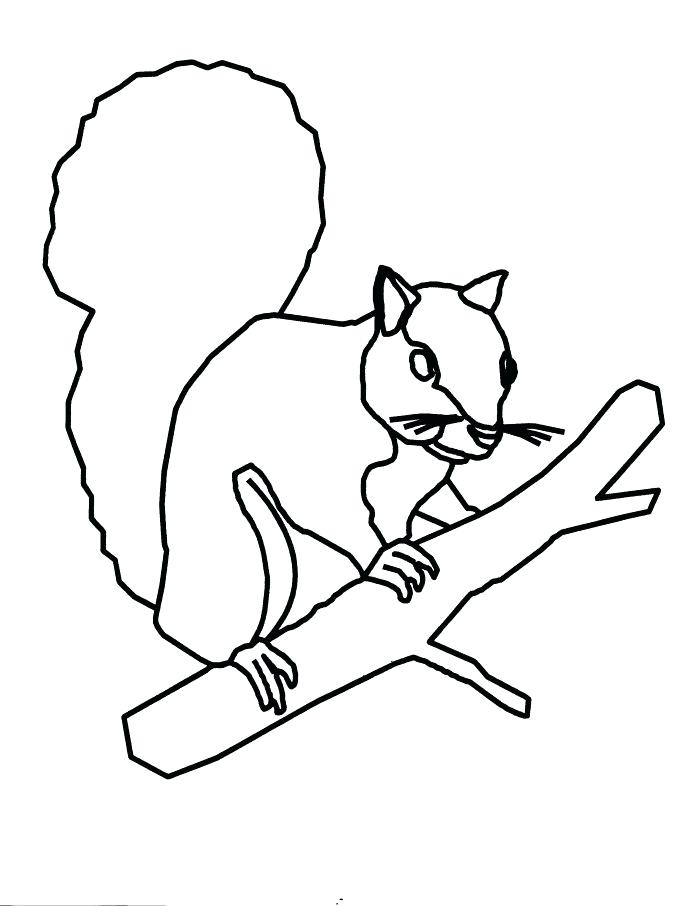 700x906 Coloring Pages Squirrel Squirrel Coloring