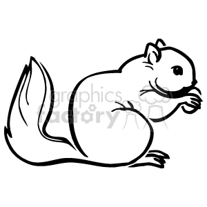 300x300 Black Outline Of A Squirrel Eating A Nut Clipart Royalty Free