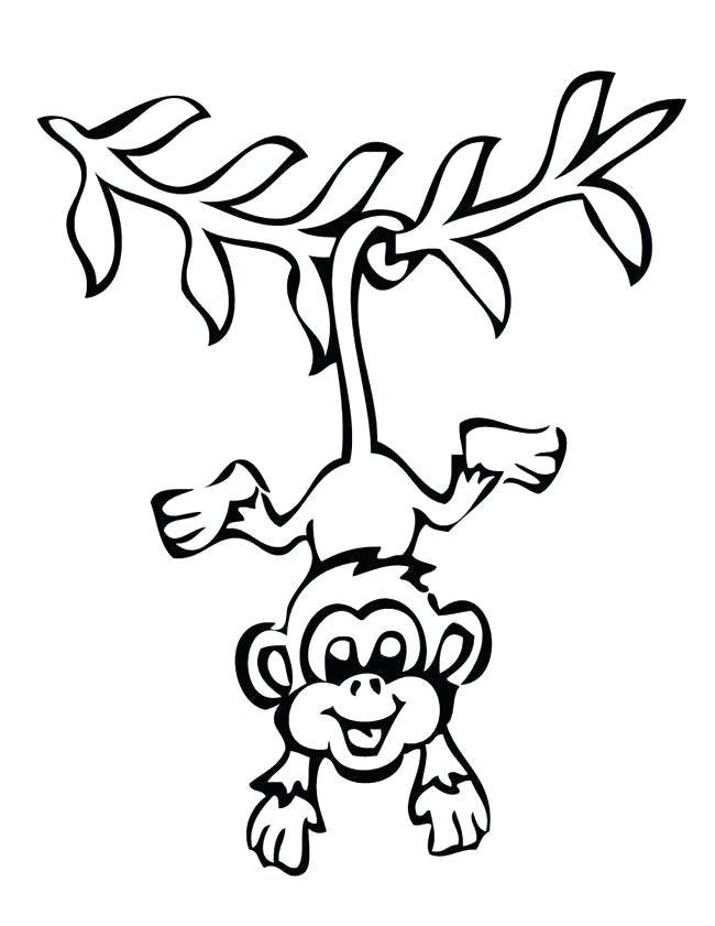 650x841 Monkey Easy Drawing Monkey Drawing Easy And Cute
