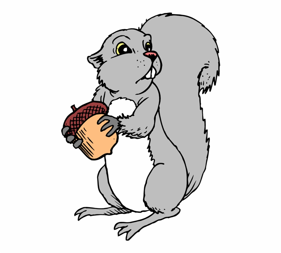 920x828 Squirrel Clipart