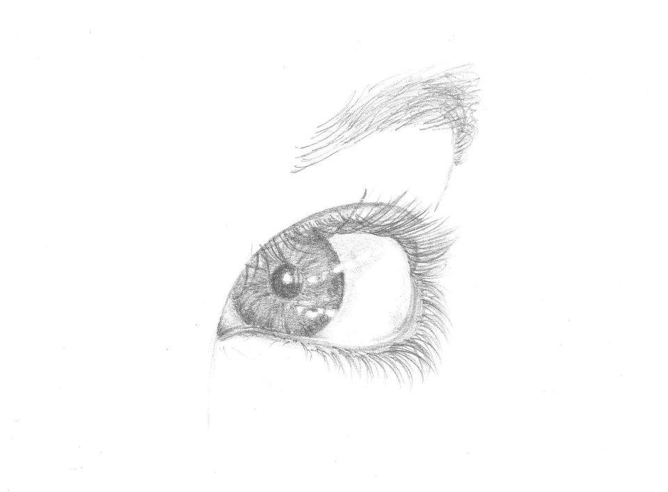 960x707 Studioz De Daniel March