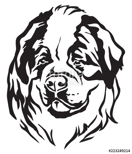 429x500 Decorative Portrait Of Dog St Bernard Vector Illustration Stock