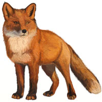 200x201 How To Draw A Dog Drawing Of The Dog Breed Saint Bernard