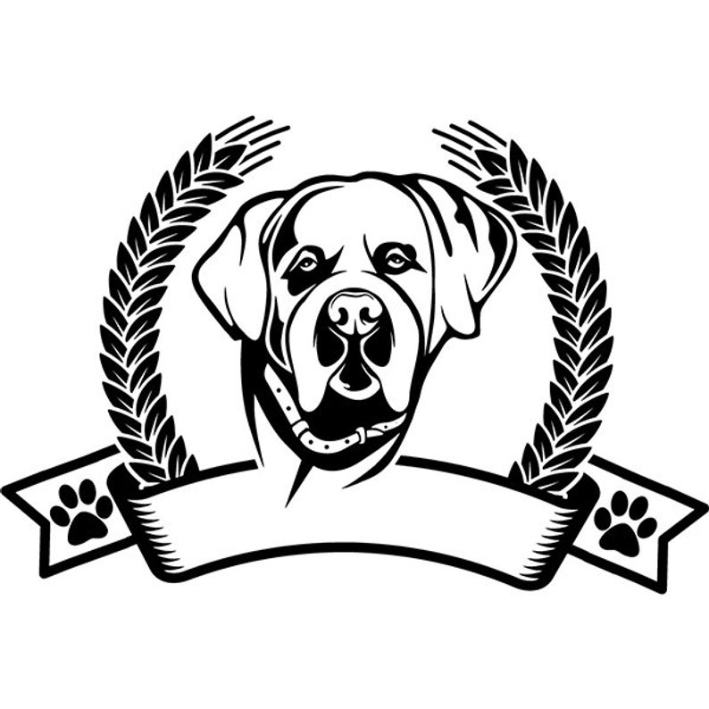 794x794 Saint Bernard Dog Breed Animal Pet Puppy Paws Canine Etsy