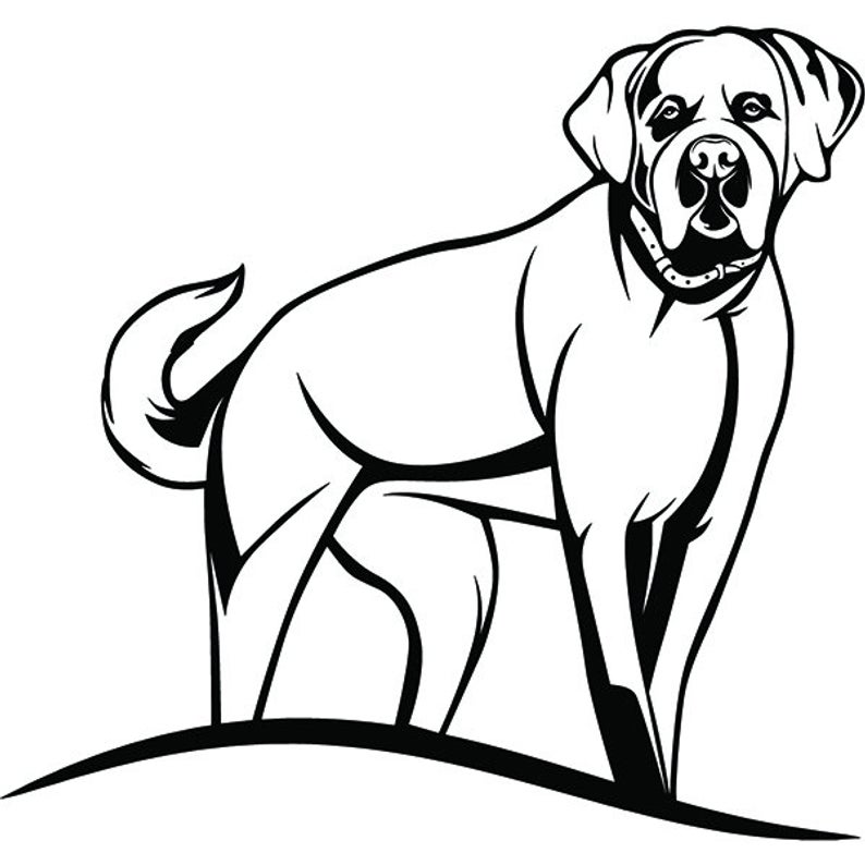 794x794 Saint Bernard Dog Happy Breed K Animal Pet Puppy Paws Etsy