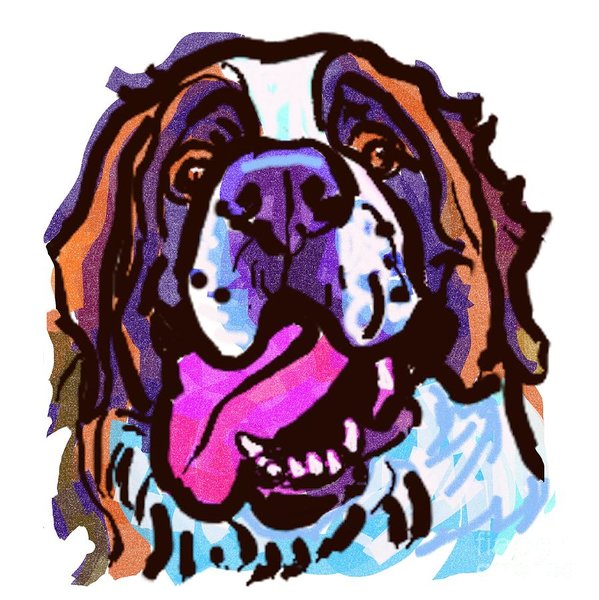 599x600 Saint Bernard Drawings Fine Art America