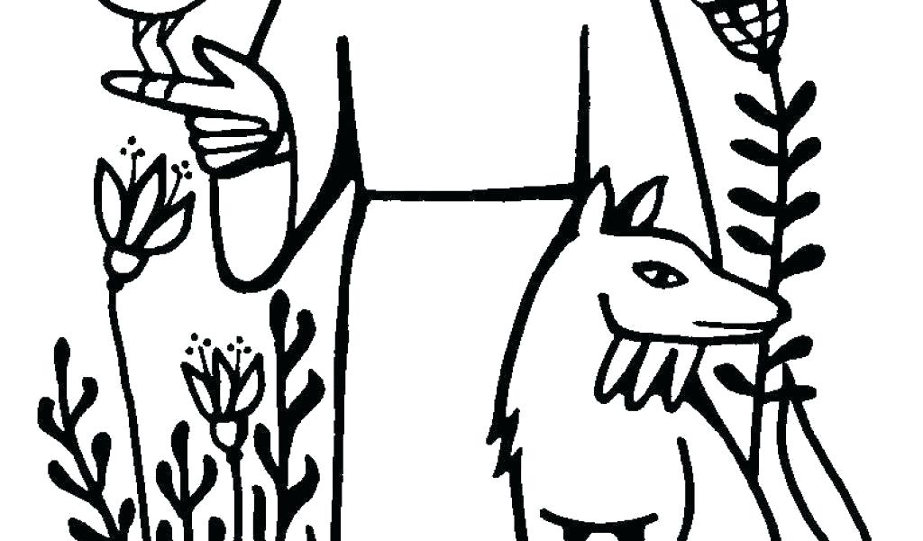 1024x600 St Francis Coloring