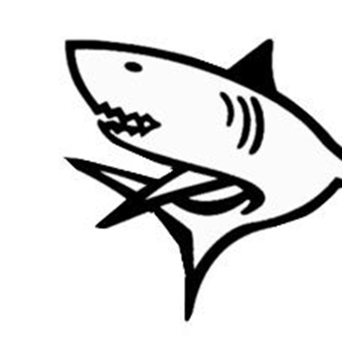 700x700 Varsity Girls' Basketball