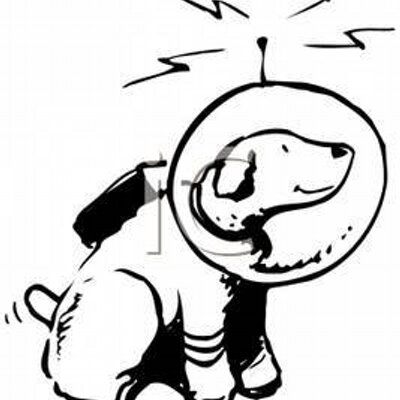 400x400 dogs don't have thumbs on twitter democracy is not stable