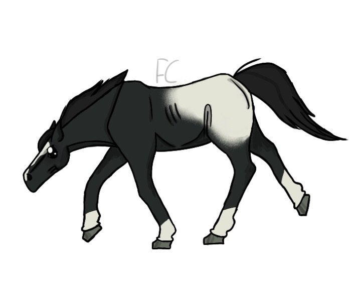 706x566 Drawing + Free Lineart! Star Stable Online Amino