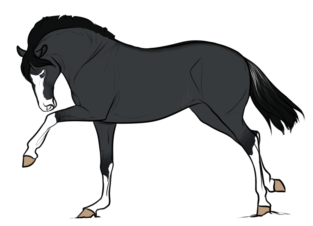 1024x739 random adopt ii