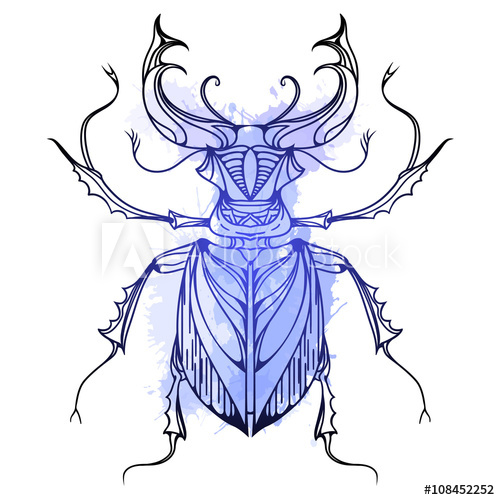 500x500 Hand Drawn Vintage Stag Beetle With Blue Watercolor Splashes