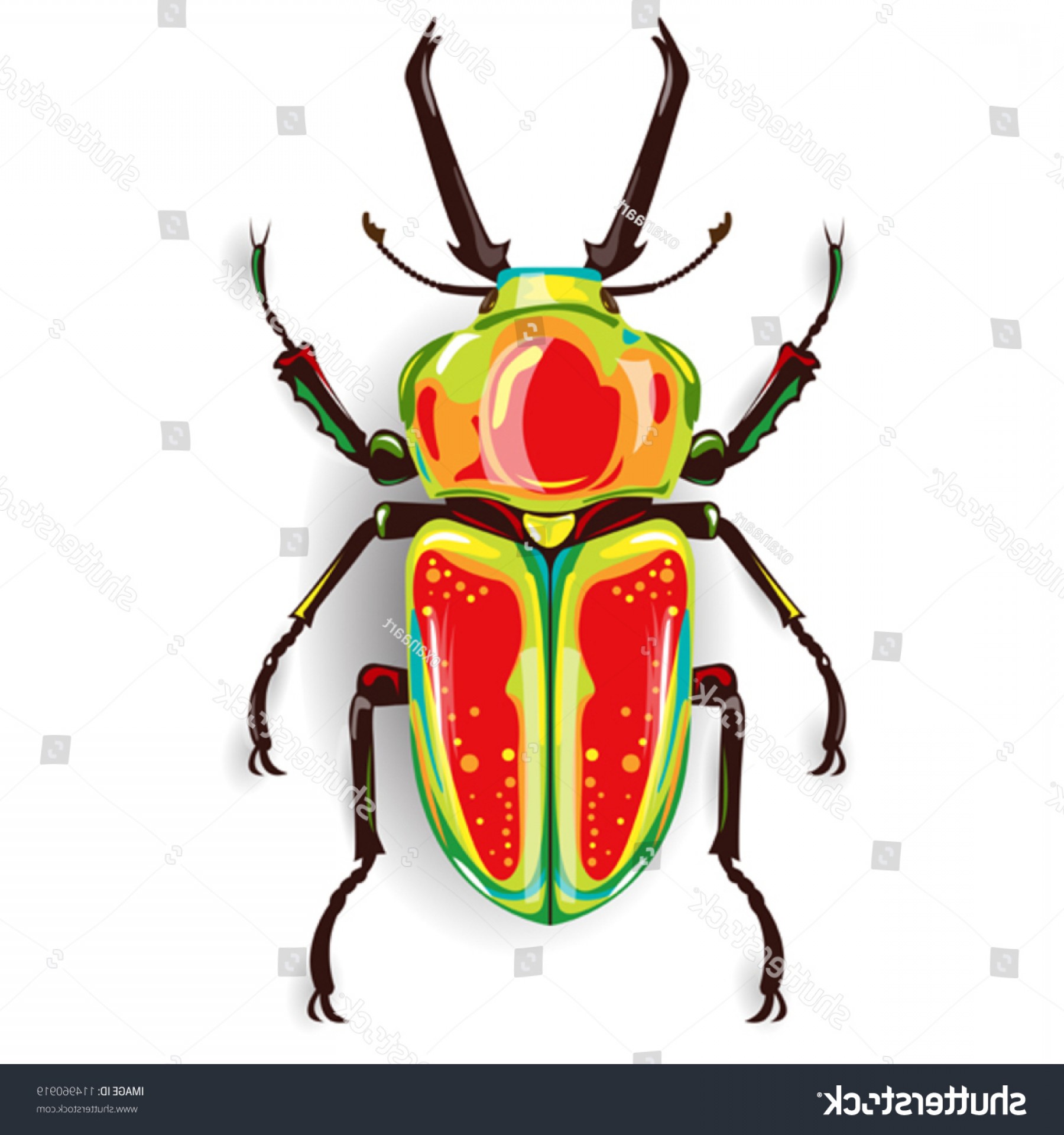 1800x1920 Vector Rainbow Stag Beetle Australia Soidergi
