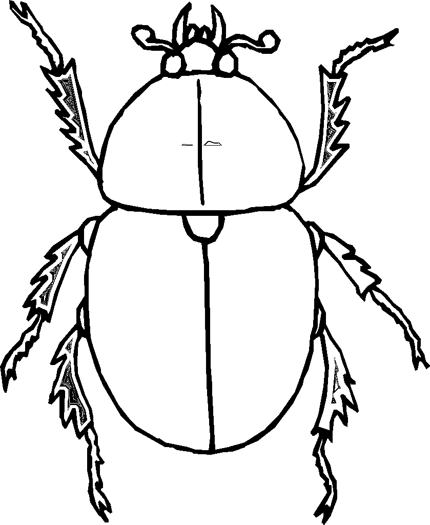 839x1024 Beetle Drawing Outline For Free Download
