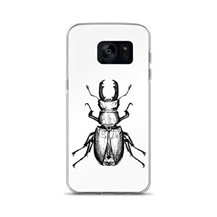 425x425 Stag Beetle