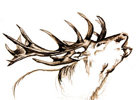 480x345 Collections J Boult Designs