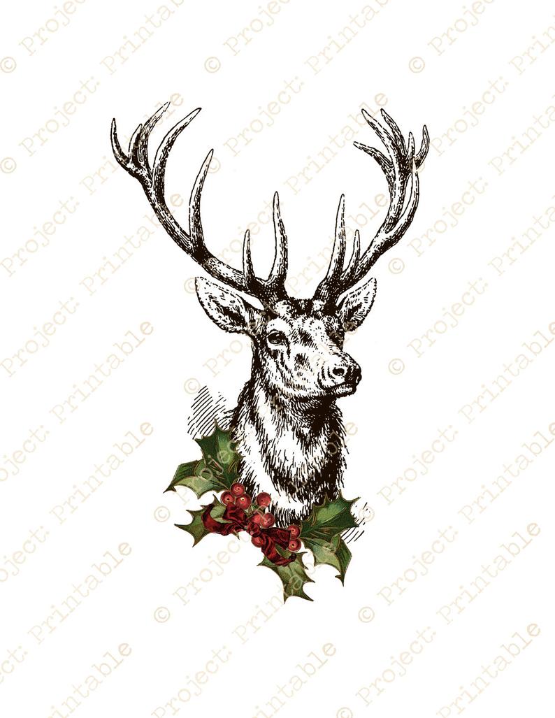 794x1027 Instant Download Printable Christmas Stag Deer With Antlers Etsy