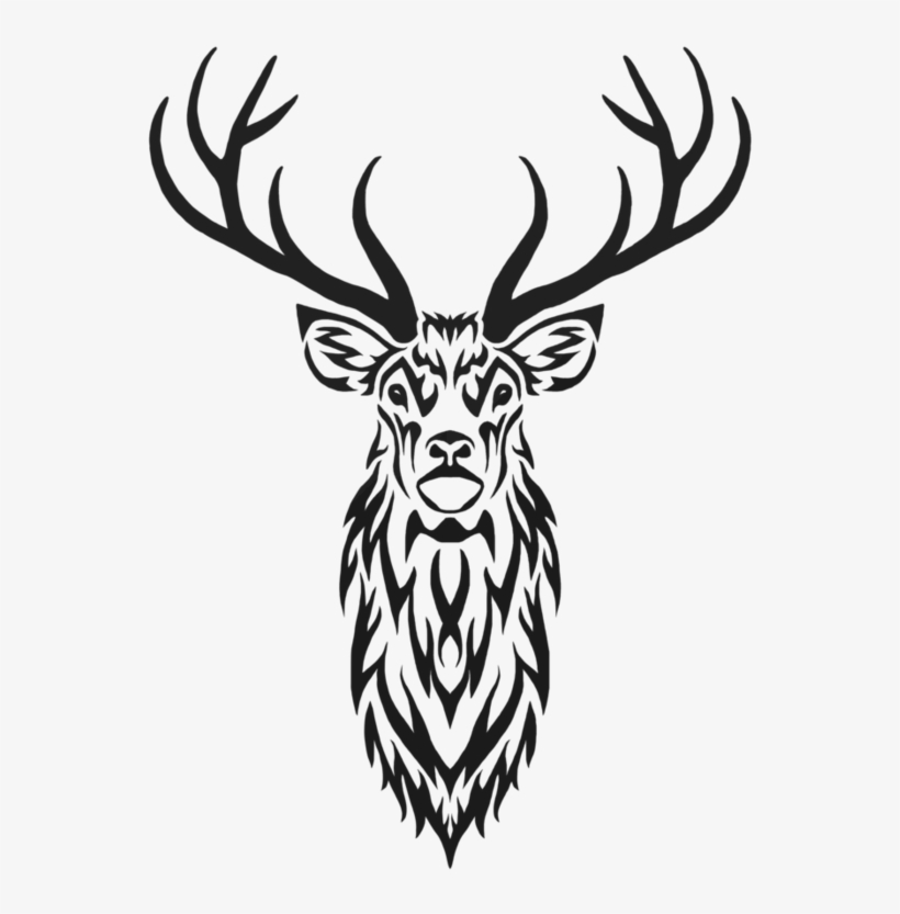820x833 Stag Drawing At Getdrawings