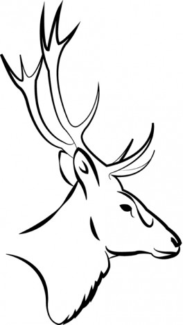 264x468 Stag Vectors Stock In Format For Free Download