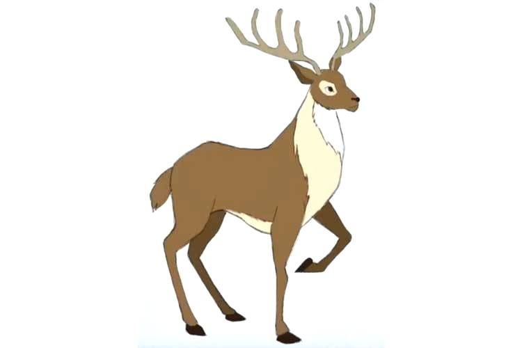 750x500 How To Draw Deer How To Draw A Deer Draw Deer Face