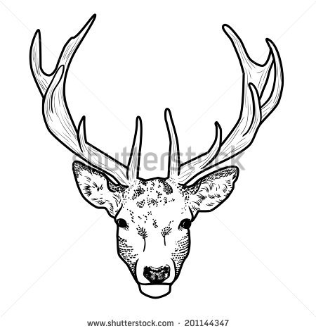 450x470 Huge Collection Of 'deer Head Line Drawing' Download More Than