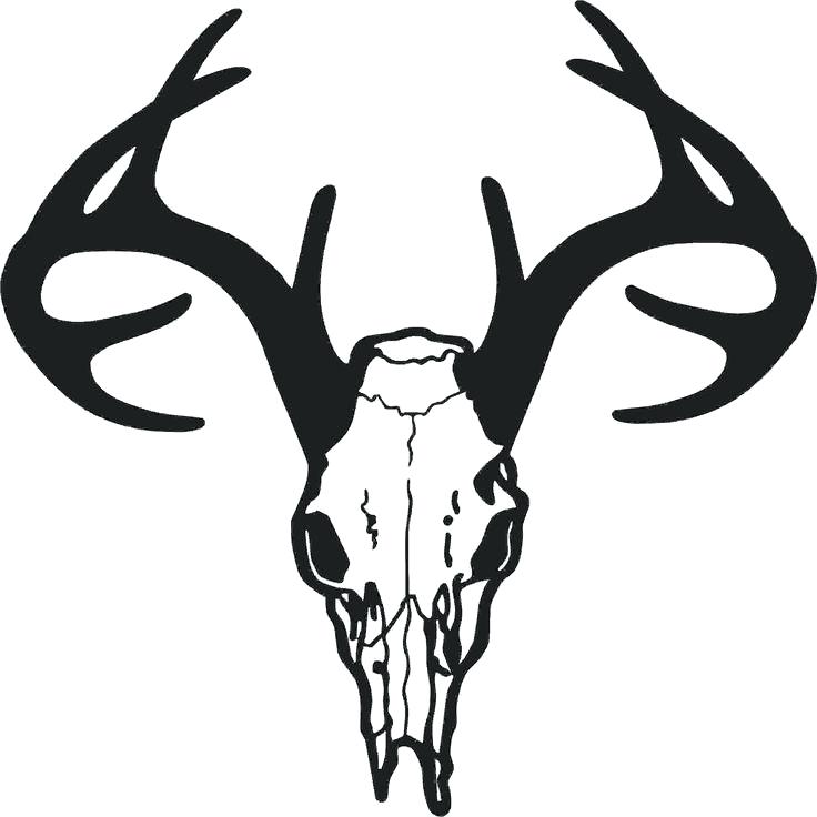 736x736 Free Deer Head Template