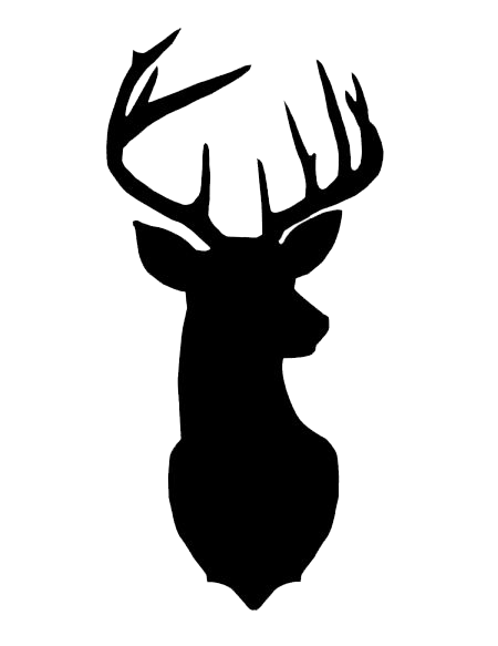 450x583 Collection Of Free Nation Drawing Deer Head Download On Ui Ex
