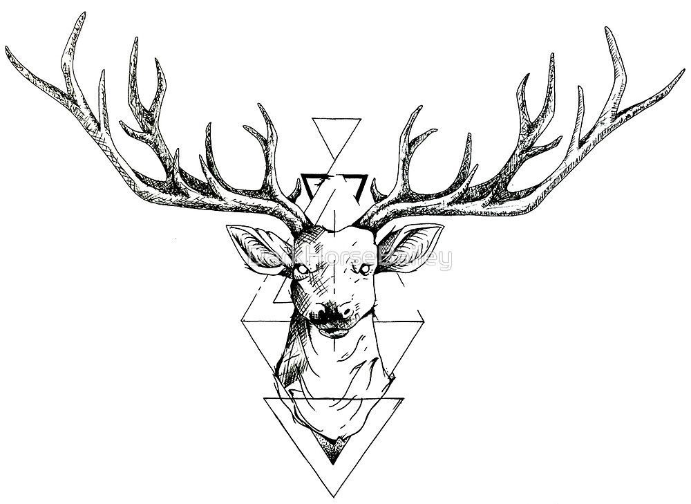 Stag Line Drawing
