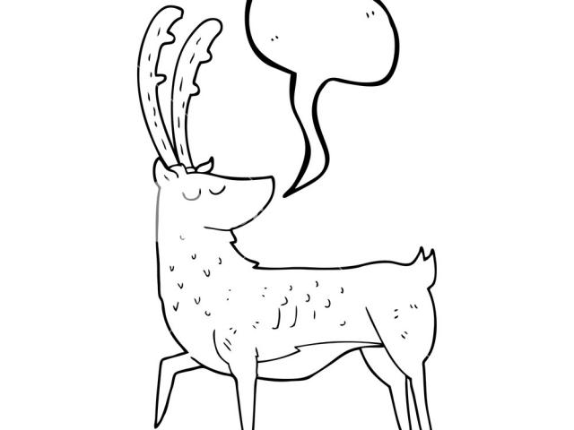 640x480 Drawn Stag Drawing