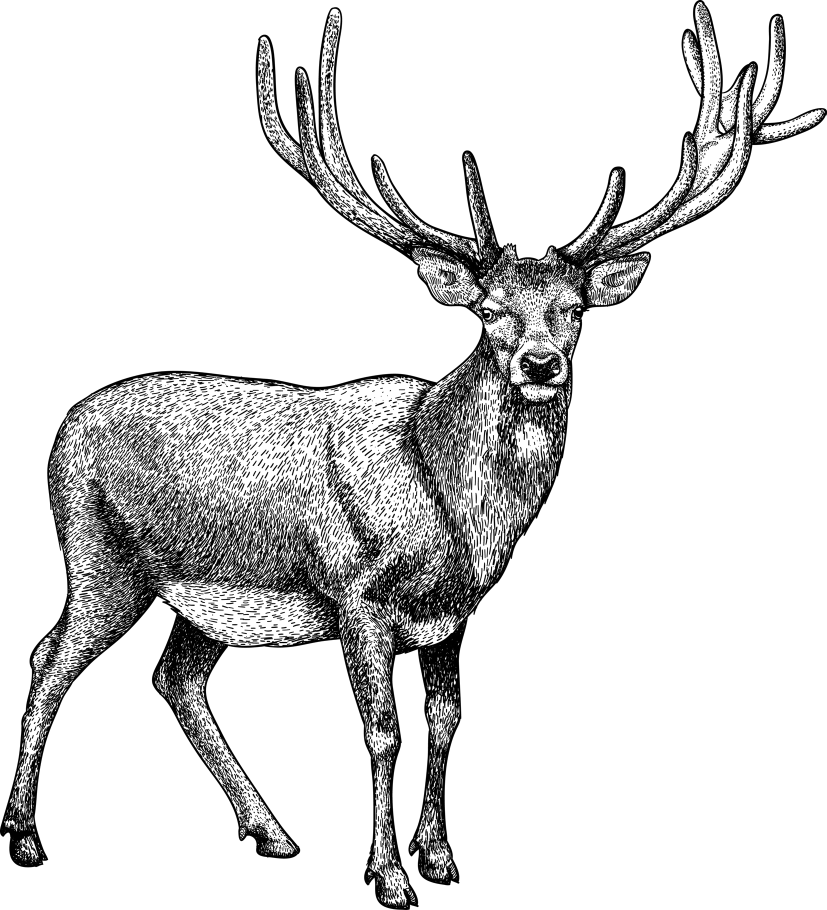 1654x1820 Eden Country Cuisine For Cats