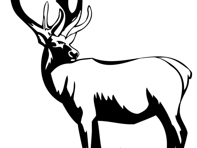 640x480 Free Stag Clipart, Download Free Clip Art