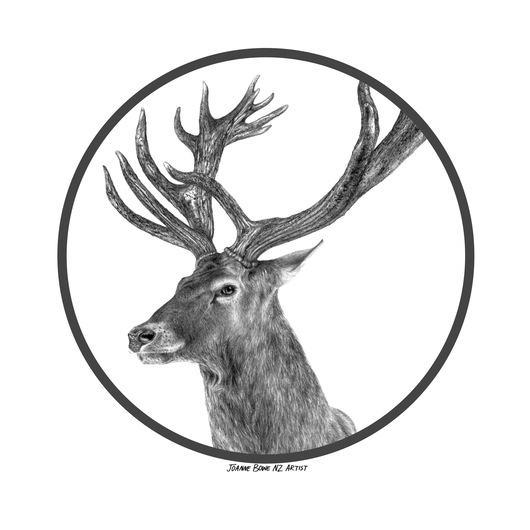 530x530 Stag Tee Doodlewear