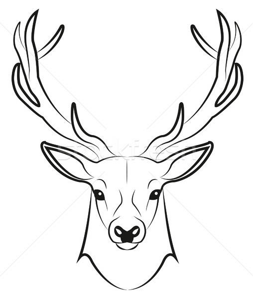 508x600 Stag Vector Illustration Linda Brotkorb